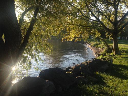 a river with trees and rocks in a park at Chambre D'Hôtes Wellingtonia in Mont-sur-Rolle