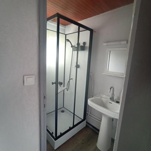 une salle de bain avec une douche en verre et un lavabo dans l'établissement Chalet Lestraouen, à Plougastel-Daoulas