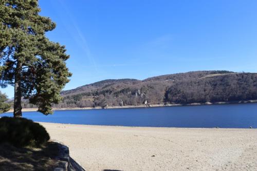 - une plage avec un arbre et un lac dans l'établissement La Clef des songes, à Chazeaux