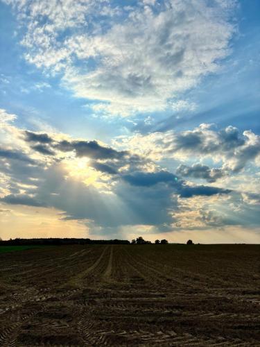 a field with a cloudy sky in the background at Apartamenty i Winnica - Siedlisko Na Polanie in Lipka Wielka