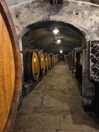 a row of wine barrels in a wine cellar at Badia a Coltibuono Wine Resort in Gaiole in Chianti