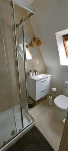 une salle de bain avec une douche, un lavabo et des toilettes dans l'établissement Chic Studio Roberta à Tours - Parking gratuit, Gare de Tours et St-Pierre-des-Corps TGV & Parc Expo, à Tours