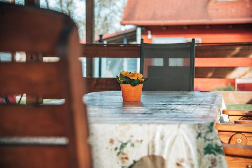 a potted plant sitting on a table on a patio at Apartments Brunarica in Moravske Toplice