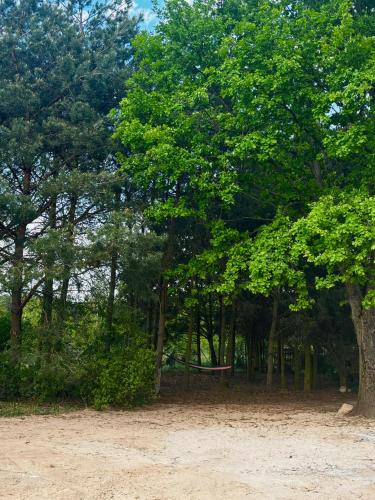 a park with a tree and a picnic table at Apartamenty i Winnica - Siedlisko Na Polanie in Lipka Wielka