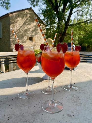 un groupe de trois verres à vin contenant des cerises dans l'établissement Domaine la Cabane, à Dégagnac