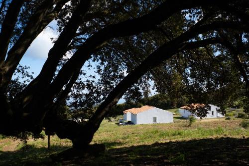 Φυσικό τοπίο κοντά σε αυτή η παραθεριστική κατοικία