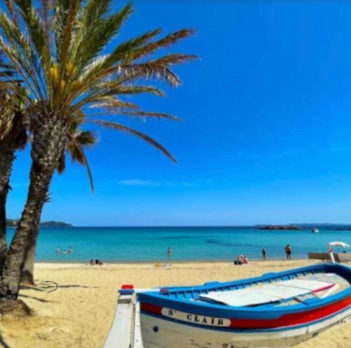 ル・ラヴァンドゥーにあるAPPARTEMENT ET SA JOLIE TERRASSE Le Lavandou Saint Clair, a deux pas de la plage de St Clair, au calme, Studio tout équipé, clim, Wifi Fibre, TV connectée, lave linge, lave vaisselle, place de parking et plus, serviettes et draps fournisのヤシの木の横の海岸船