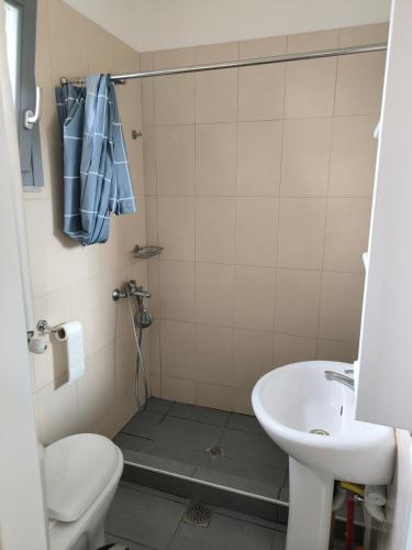 a bathroom with a shower and a toilet and a sink at Villa Elsa in Petra