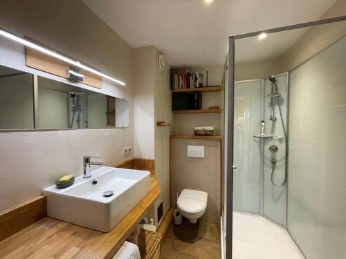 une salle de bain avec un lavabo, une douche et des toilettes dans l'établissement Appartement cosy 6 pers, centre Cernix, pied des pistes, proche commerces et ESF - FR-1-733-52, à Crest-Voland