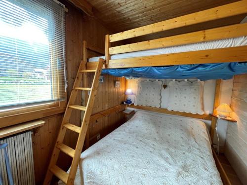 Ce lit superposé se trouve dans un dortoir avec une échelle. dans l'établissement Appartement cosy 4 pers, au coeur de Crest-Voland, proche pistes, parking, balcon - FR-1-733-80, à Crest-Voland