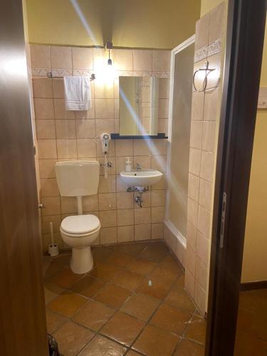a small bathroom with a toilet and a sink at affittacamere vallelunga in Pontelagoscuro