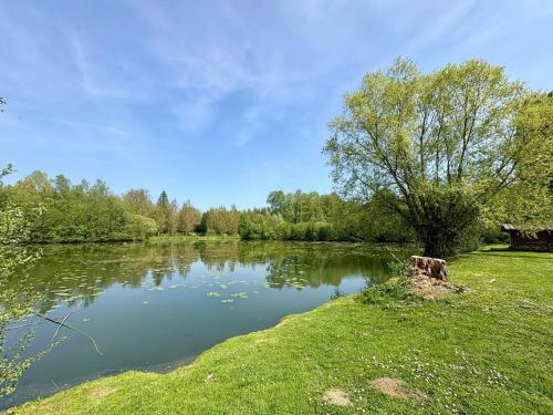 a pond with a tree and a bench next to it at Chalet convivial avec vue sur la rivière - 62 m² in Authuille
