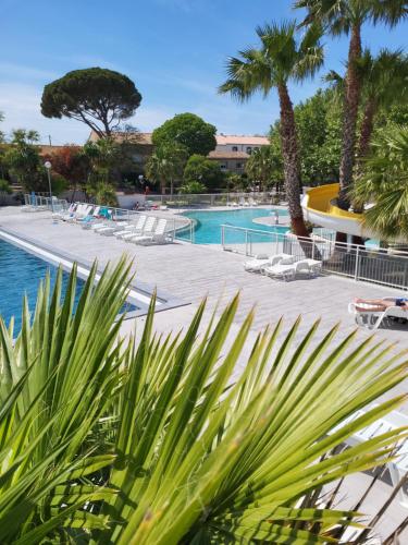 - une piscine avec des palmiers et des chaises longues dans l'établissement Camping Agde Mobil home 4 places , climatisé, à Agde
