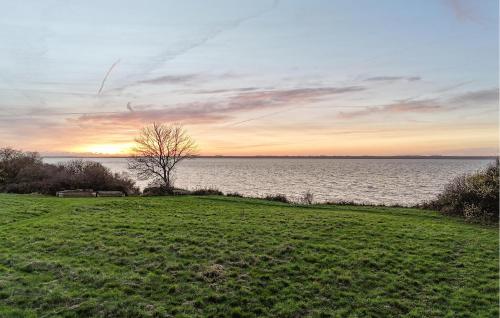 Naturlandschaft in der Nähe des Ferienhauses