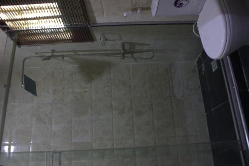 a shower in a bathroom with a toilet at The Vistana 4Bedroom Pearly Gate Estate Ikota VGC Lekki in Igboshere