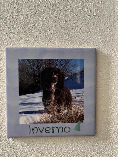 Fotografie z fotogalerie ubytování La Luce delle Colline v destinaci Serravalle delle Langhe