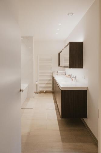 a bathroom with a sink and a mirror at Blue Bird Residence in Antwerp