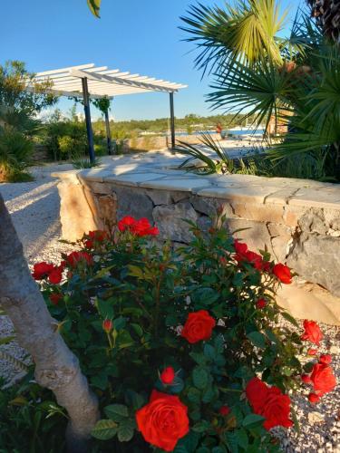 Beach House Marina Grande