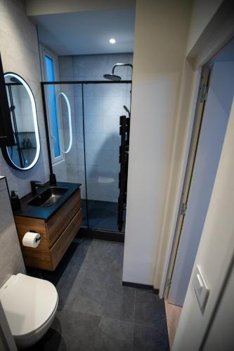 une salle de bain avec une douche, des toilettes et un lavabo dans l'établissement Beautiful apartment in the center of Cannes, à Cannes