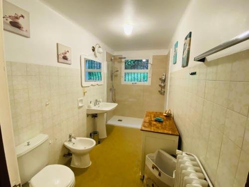 un baño con inodoro y lavabo en Maison typique Provençale, en Seillans
