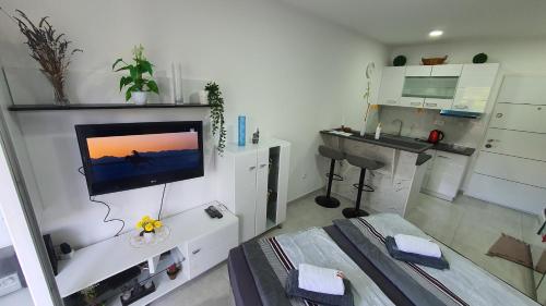 a room with a bed and a desk and a television at Harmony Srebrno jezero in Veliko Gradište