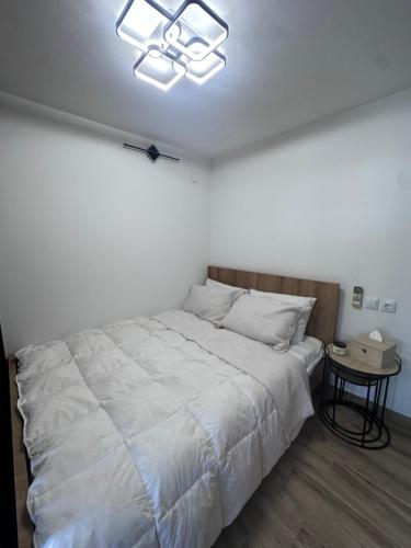 a bedroom with a bed and a ceiling fan at Studio Elpida in Kyllini