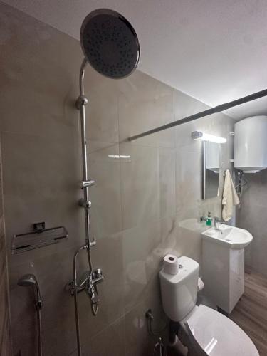 a bathroom with a shower with a toilet and a sink at Studio Elpida in Kyllini