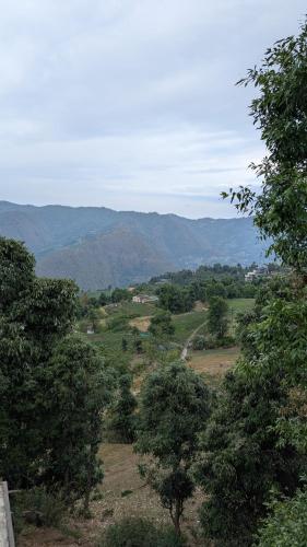 a field with trees and mountains in the distance at Quarali Homestay in Mukteswar