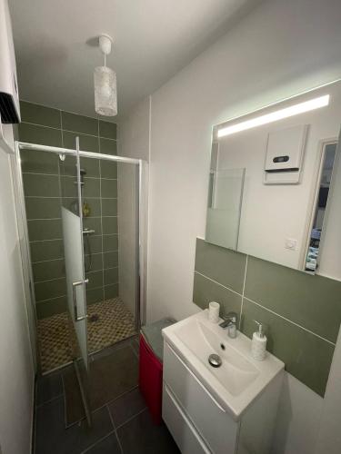 une salle de bain avec une douche, un lavabo et un miroir dans l'établissement L'Hermier à Livron-sur-Drôme, à Livron-sur-Drôme