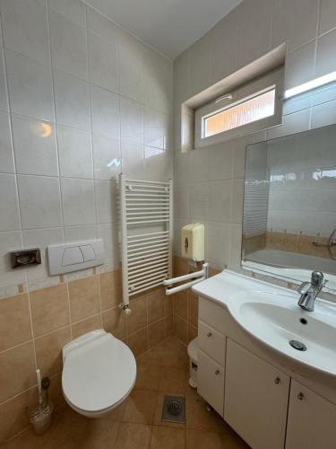 a bathroom with a toilet and a sink and a mirror at Apartments & Restaurant Condura Croatica Nin-Sabunike in Nin