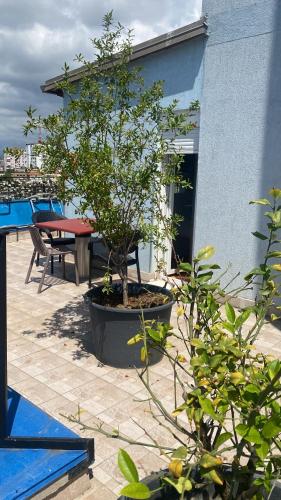 Flori Penthouse City Center P1