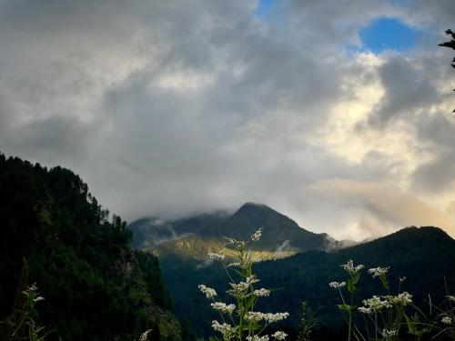 a view of a mountain range with clouds and flowers at Pahadi Basera in Manāli
