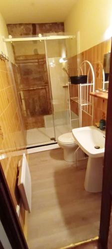 une salle de bain avec une douche, des toilettes et un lavabo dans l'établissement Duplex avec cour au coeur de la cité médiévale., à Gourdon
