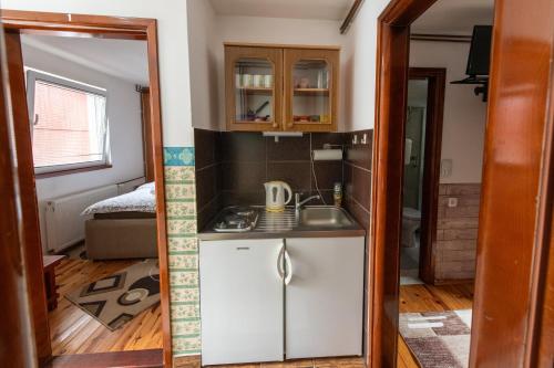 Kuchyň nebo kuchyňský kout v ubytování Rooms Sejo