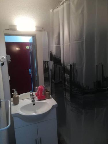 une salle de bain avec un lavabo et un miroir dans l'établissement Studio Port Soleil PS580 - 2 personnes, au Cap d'Agde