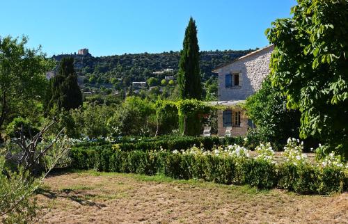 un jardin avec des fleurs blanches en face d'une maison dans l'établissement Bastidon Silvestre, à Saint-Saturnin-lès-Apt
