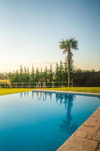 a large swimming pool with a palm tree in the background at Monte dos Rolas in Alcácer do Sal