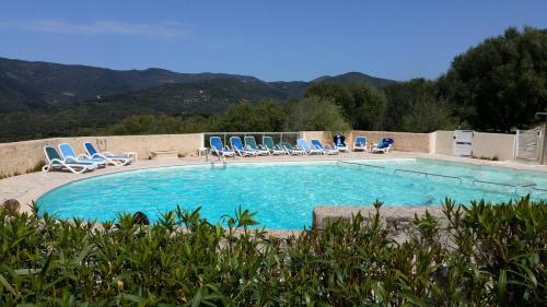 une grande piscine avec des chaises bleues dans l'établissement Maison Alba Rossa 56, à Serra-di-Ferro