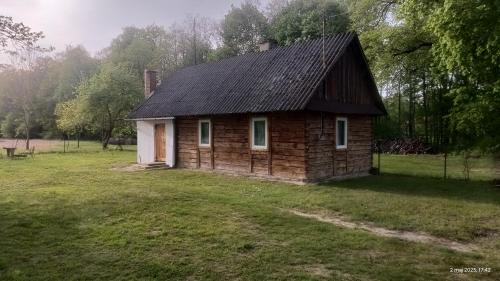 Pod dębem