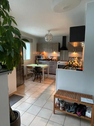 une cuisine avec une table et une salle à manger dans l'établissement Maison landaise au calme entre Bordeaux et Atlantique, à Saint-Médard-en-Jalles