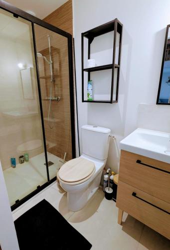 une salle de bain avec toilettes, douche et lavabo dans l'établissement L'atelier au coeur de Meung, à Meung-sur-Loire