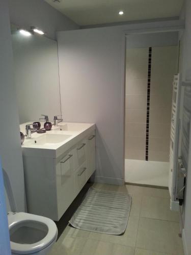 une salle de bain avec un lavabo, des toilettes et une douche dans l'établissement Totem Sud, à Arcachon