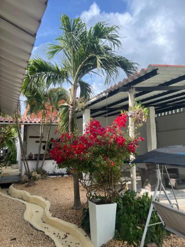 a house with a palm tree and red flowers at Casa Torices Real 12 in Cartagena de Indias