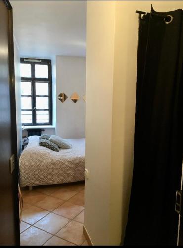 une chambre avec un lit et une fenêtre dans l'établissement Annecy, studio Cosy, à Annecy