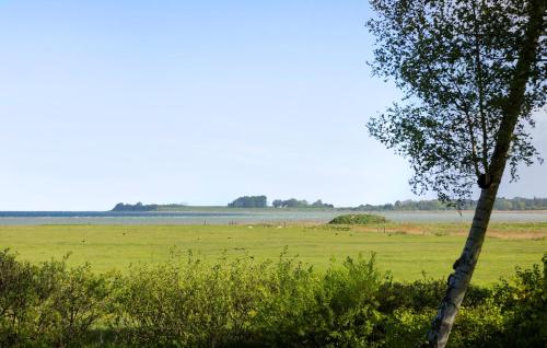 a tree in a field next to a field at Amazing Home In Orø With Kitchen in Orø