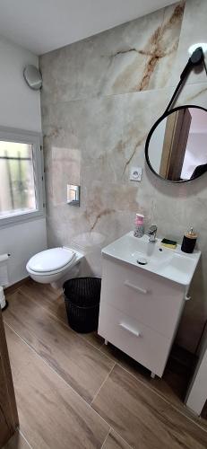 une salle de bain avec un lavabo, des toilettes et un miroir dans l'établissement le nid de la cigogne, à Sainte-Marie-aux-Mines