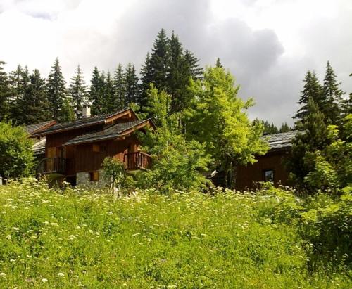 Meribel Altitude1600 chalet 6 personnes en pleine nature au milieu des pistes