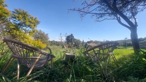 Photo de la galerie de l'établissement La Muscatelle Entre mer et campagne provencale, à La Farlède