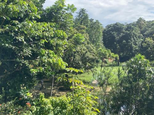 Landskap semula jadi dekat dengan apartmen