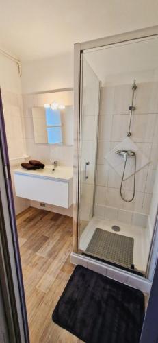 une salle de bain avec une douche avec un lavabo et des toilettes dans l'établissement Chez Chris et Seve, à Arles